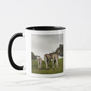 Die Rückseite von drei Zebras, Südafrika Tasse