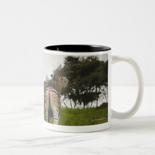 Die Rückseite von drei Zebras, Südafrika Zweifarbige Tasse
