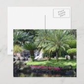 Die Ruhe auf Kauai Postkarte (Vorne/Hinten)
