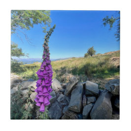 Die Ruhe des englischen ländlichen Raums Fliese