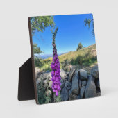 Die Ruhe des englischen ländlichen Raums Fotoplatte (Vorderseite)