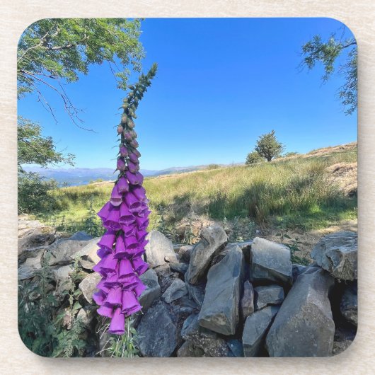 Die Ruhe des englischen ländlichen Raums Getränkeuntersetzer (Vorderseite)