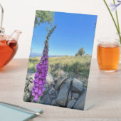 Die Ruhe des englischen ländlichen Raums Sockelschild (In Situ)