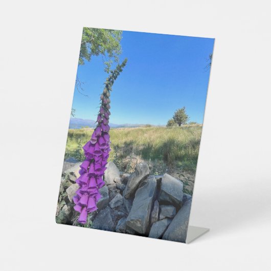 Die Ruhe des englischen ländlichen Raums Sockelschild (Vorderseite)