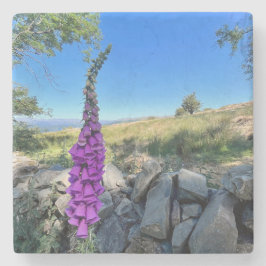 Die Ruhe des englischen ländlichen Raums Steinuntersetzer