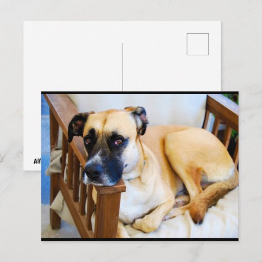 Die Ruhe des Wächters Postkarte (Vorne/Hinten)