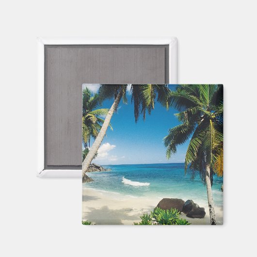 Die Ruhe dieses Mauritius Beach Magnet (Vorderseite/Rückseite)
