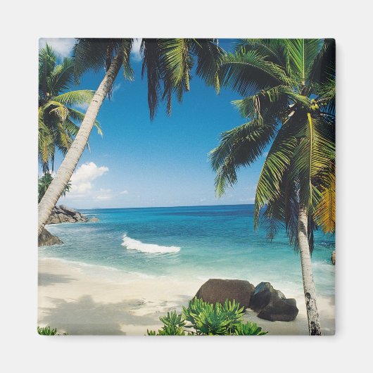 Die Ruhe dieses Mauritius Beach Magnet (Vorne)