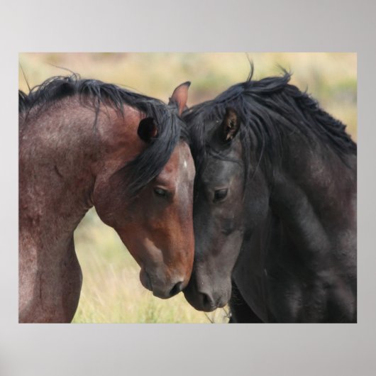 Die Ruhe Poster (Vorne)