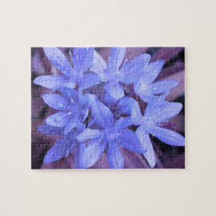 Die Ruhm des Schnee-Blau-Puzzles Puzzle