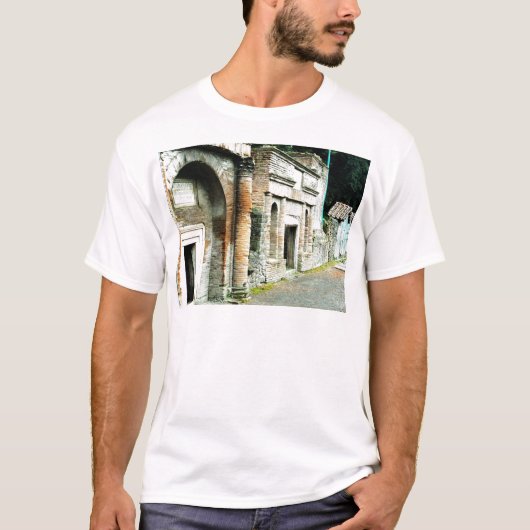 Die Ruinen von Pompeji - Markt mit Tempeln T-Shirt (Vorderseite)