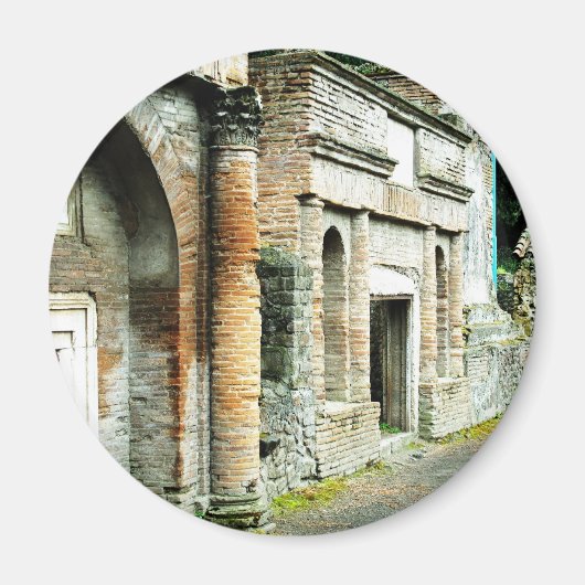 Die Ruinen von Pompeji - Marktplatz mit Tempeln Magnet (Vorne)