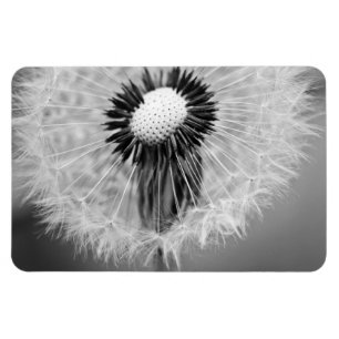 Die Samen von morgen Magnet