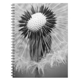 Die Samen von morgen Notizblock