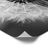 Die Samen von morgen Poster (Ecke)