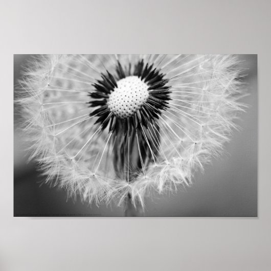 Die Samen von morgen Poster (Vorne)