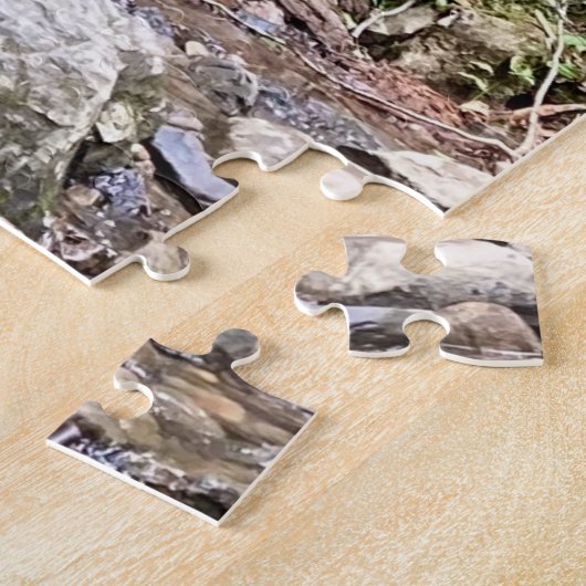 Die sanfte Abfahrt - ruhige Rätsel Puzzle (Seite)