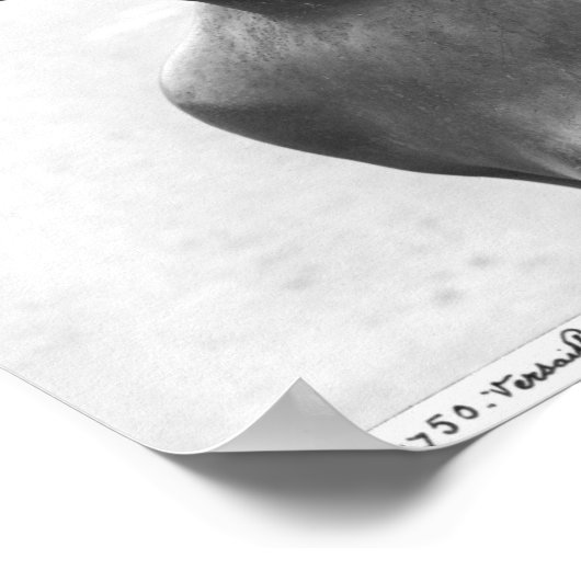 Die Saone vom Parterre Poster (Ecke)