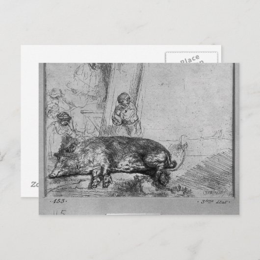 Die Saue, 1643 Postkarte (Vorne/Hinten)