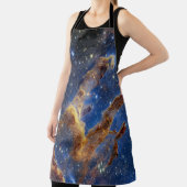 Die Säulen der Schöpfung NIRCam | JWST Schürze (InSitu)