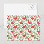 Die Scarlet-Ibis Postkarte (Vorne/Hinten)