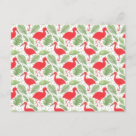 Die Scarlet-Ibis Postkarte (Vorderseite)