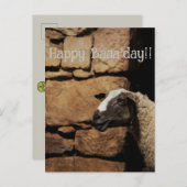 Die Schafe, glücklich Baaday! Postkarte (Vorne/Hinten)