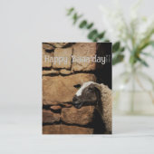 Die Schafe, glücklich Baaday! Postkarte (Stehend Vorderseite)