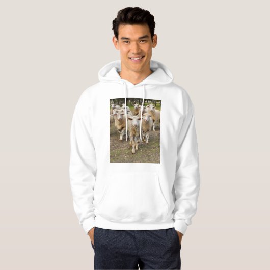 Die Schafe marschieren in Hurrah, Hoodie (Vorne ganz)
