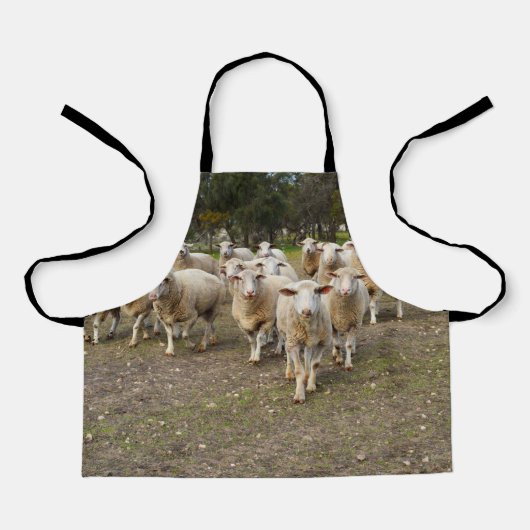Die Schafe marschieren, Kinder vollwertige Schürze (Vorderseite)