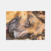 Die Schäferhund-Decke - das deutsche shedder! Fleecedecke (Vorderseite (Horizontal))