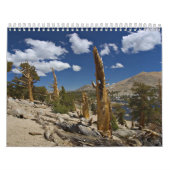Die Schaffungs-Kalender des Gottes Kalender (Titelbild)