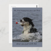 Die Schätze des Lebens, Postkarte (Vorne/Hinten)