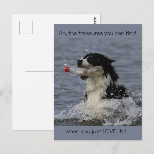 Die Schätze des Lebens, Postkarte (Vorne/Hinten)