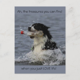 Die Schätze des Lebens, Postkarte