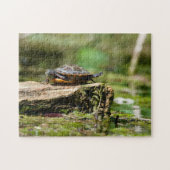 "Die scheue Schildkröte" 252-teiliges Puzzle (Horizontal)