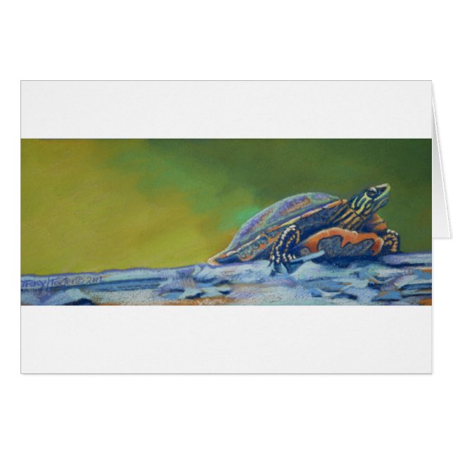 Die Schildkröte des Franks roter ohriger Striper (Vorderseite (Horizontal))