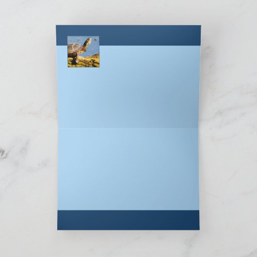 Die Schildkröte Karte (Innenseite)