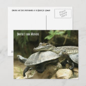 Die Schildkröte und die Krokodilkarte Postkarte (Vorne/Hinten)