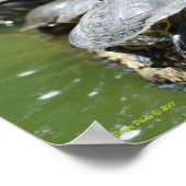 Die Schildkröten aufreißen Poster (Ecke)