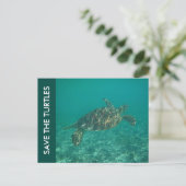 Die Schildkröten gerettet Postkarte (Stehend Vorderseite)