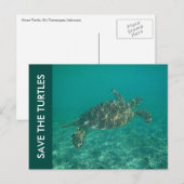 Die Schildkröten gerettet Postkarte (Vorne/Hinten)