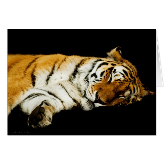 Die Schlafamurkarte (Vorderseite (Horizontal))