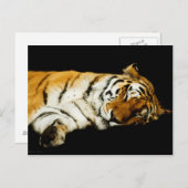 Die schlafende Amur-Postkarte Postkarte (Vorne/Hinten)