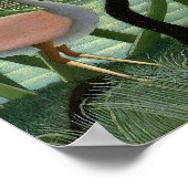 Die Schlange Charmer von Henri Rousseau Poster (Ecke)