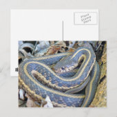 Die Schlange ist geschlossen. Postkarte (Vorne/Hinten)