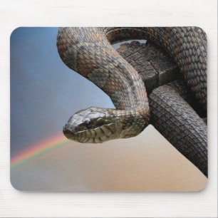Die Schlange und der Regenbogen Mousepad