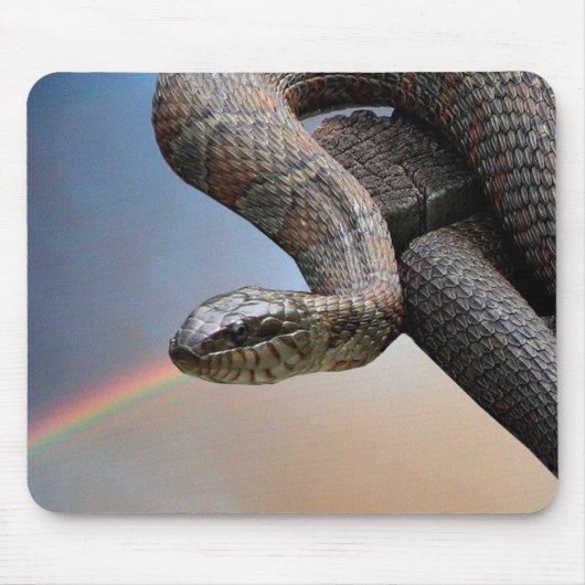 Die Schlange und der Regenbogen Mousepad (Vorne)