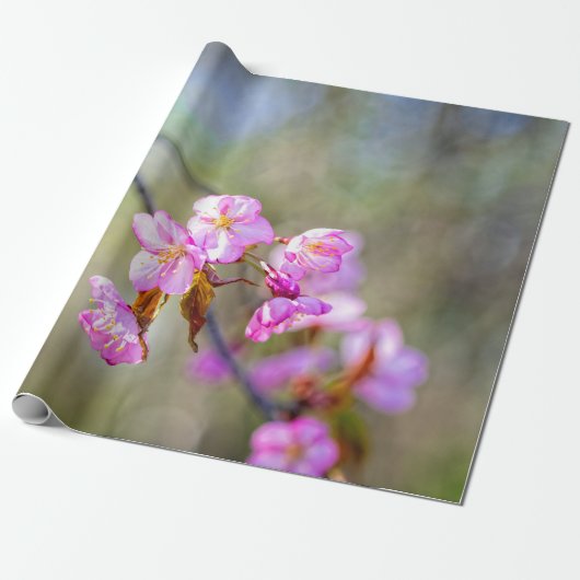 Die schlichte Schönheit der Blume von Sakura Geschenkpapier (Ungerollt)