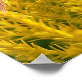 Die Schlucht Poster (Ecke)